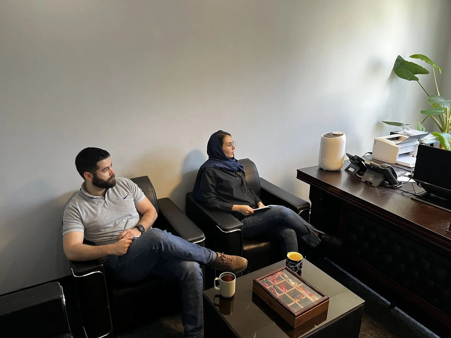 چشم‌انداز عیارفر